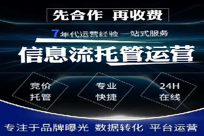 成功SEM代理案例：精准投放的策略